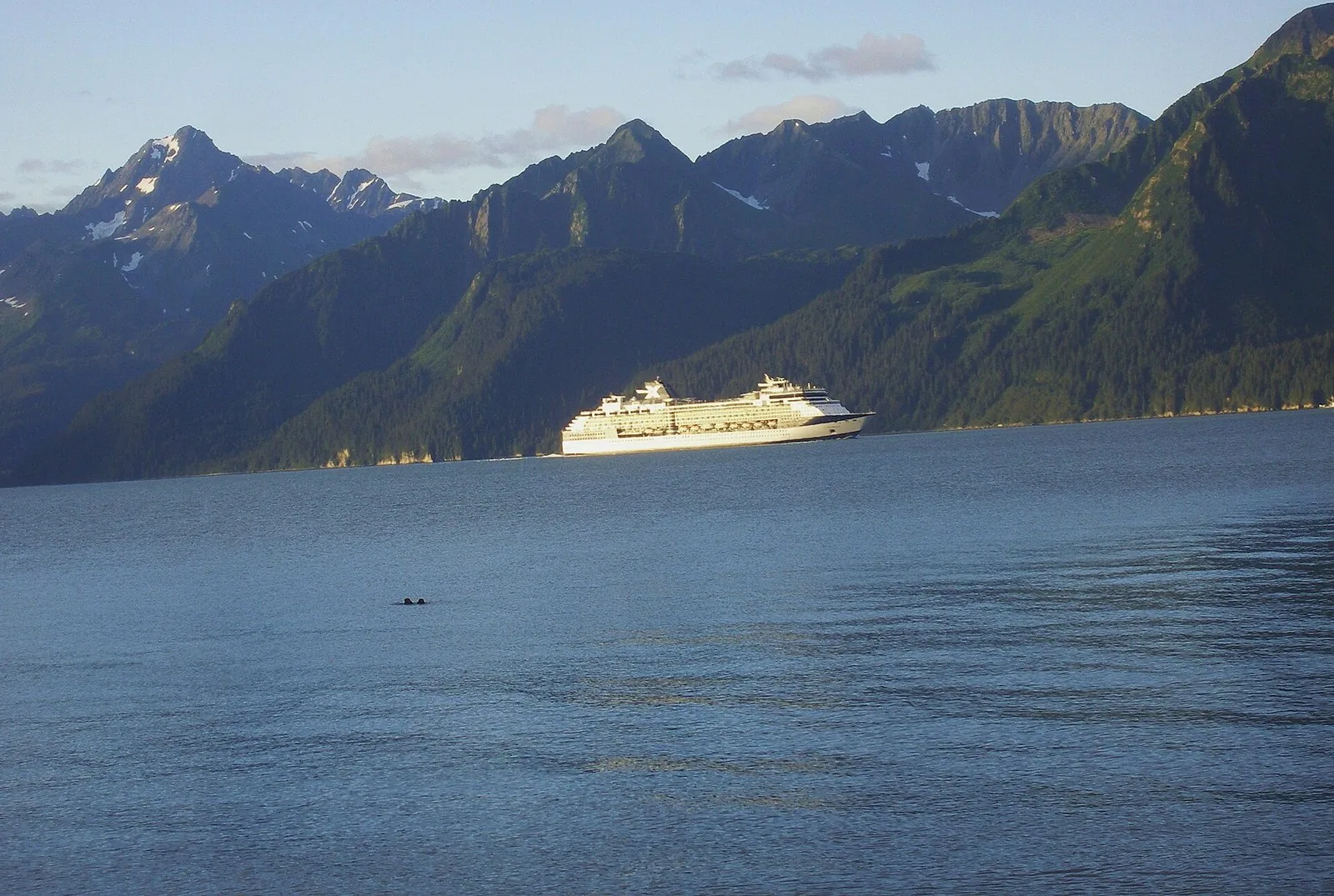 A white cruise ship in Resurrection Bay below green mountains, the Seward approach for an Alaska cruise from Anchorage