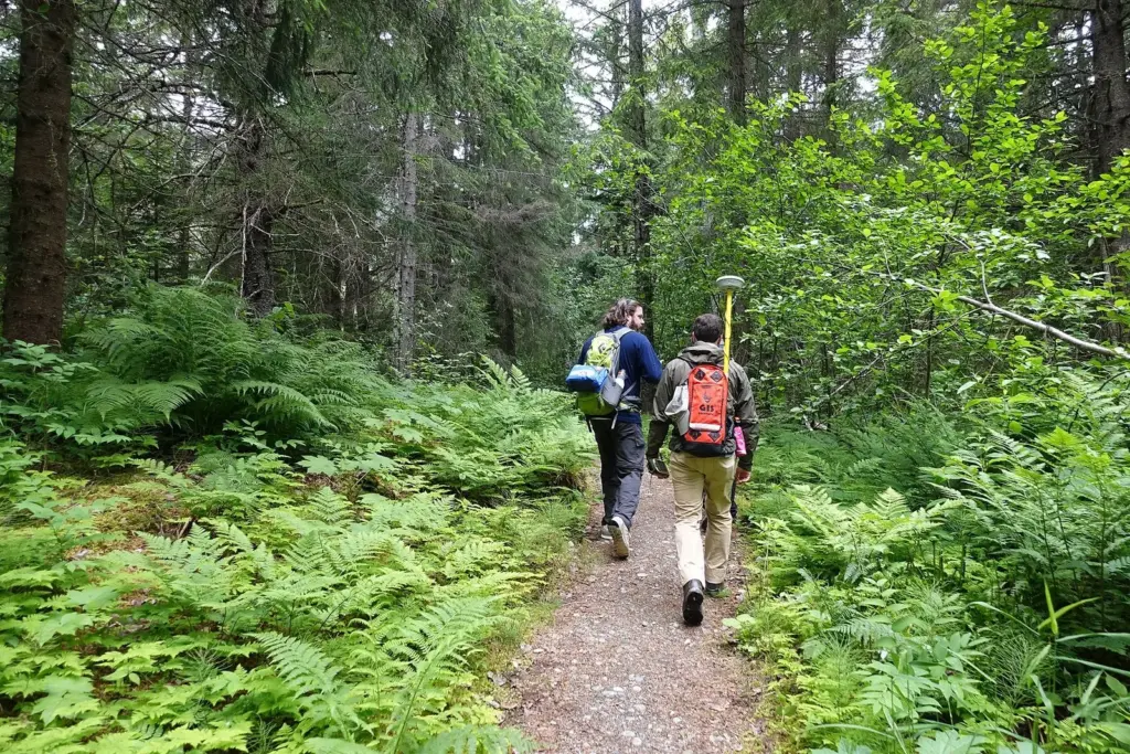 Two hikers with daypacks walking a gravel trail through ferns and spruce forest on the Chilkoot Trail