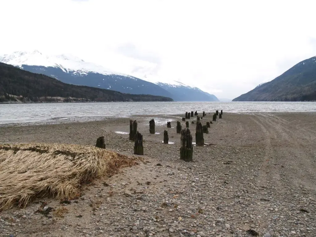 Rows of old wooden wharf pilings on the tidal flats at Dyea, with the mountains of Taiya Inlet beyond