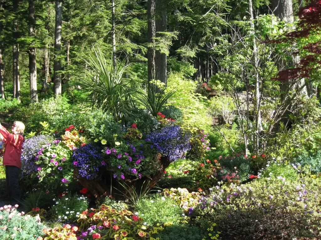 An upturned tree trunk planted with purple petunias and other flowers among rainforest trees at Glacier Gardens outside Juneau