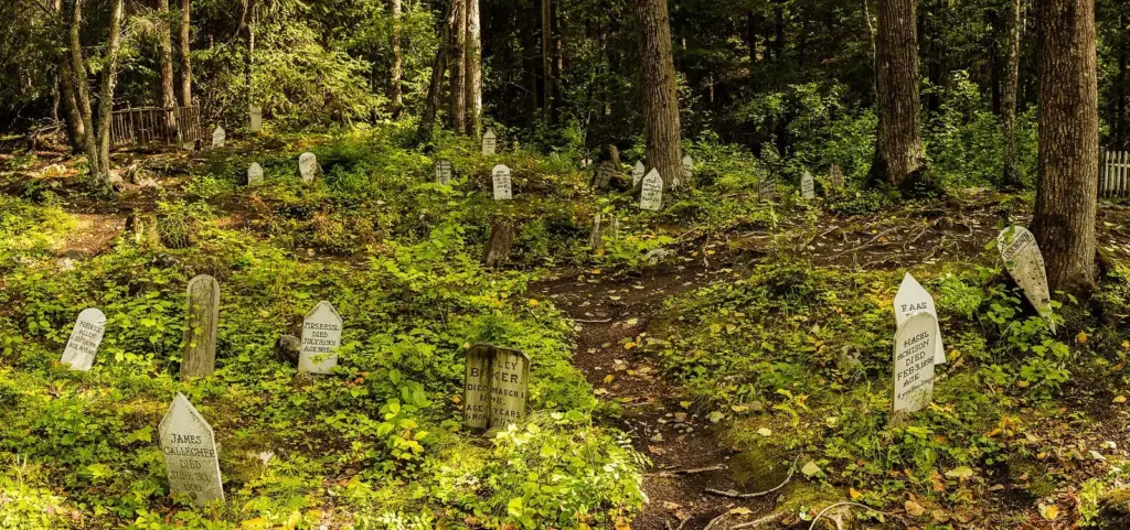 Weathered wooden grave markers among moss and ferns under tall trees in Skagway's Gold Rush Cemetery