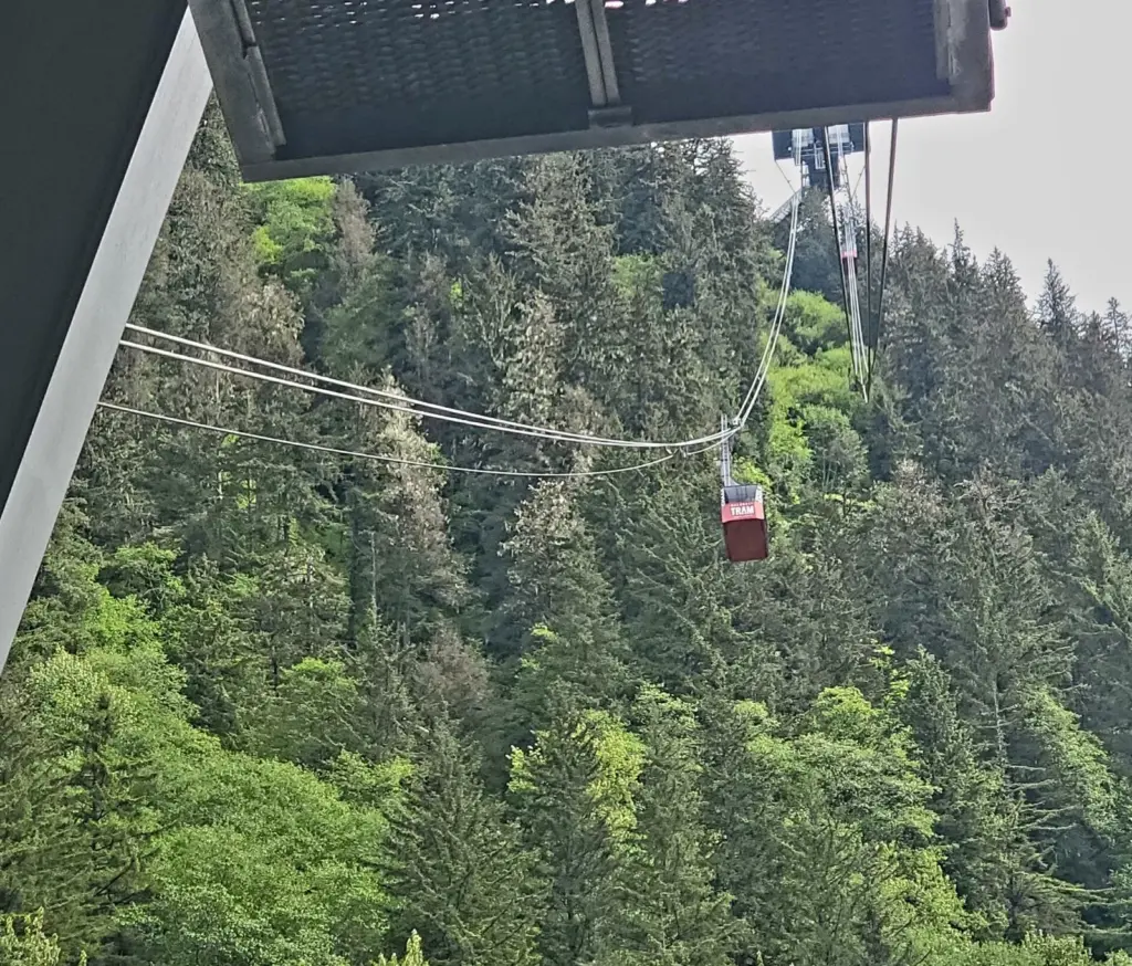 A red Goldbelt Tram car climbing on its cables above a steep green forest in Juneau