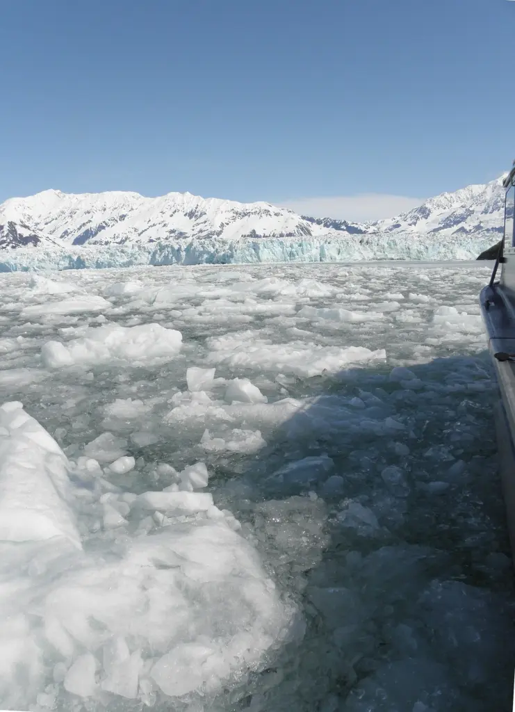 A boat pushing through dense floating ice with the wide glacier face and snowy peaks on the horizon
