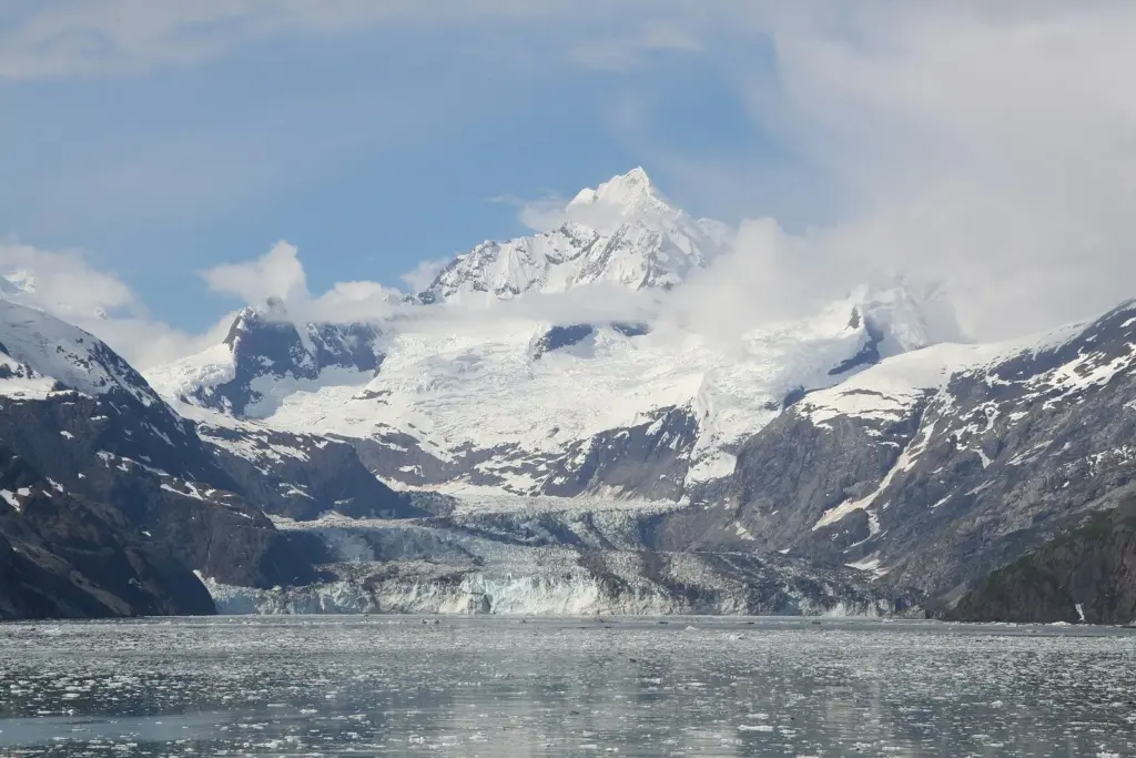 Johns Hopkins Glacier below snow-covered Mount Orville and Mount Wilbur with floating ice in the inlet