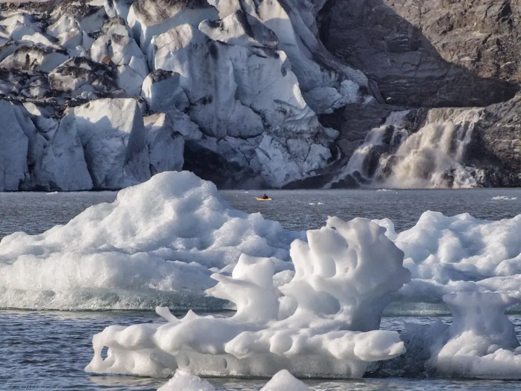 A lone kayaker dwarfed by the tall blue-white ice face at the head of the lake, with icebergs nearby