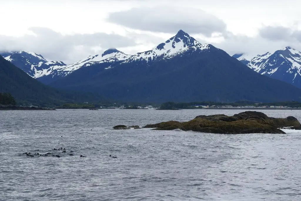Small raft of sea otters floating in gray water below snowy peaks in Sitka Sound