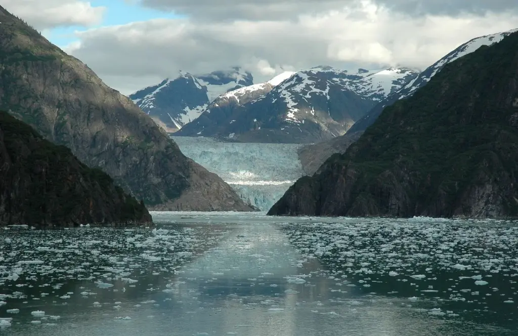 Narrow Tracy Arm fjord with floating ice leading to a glacier between forested walls