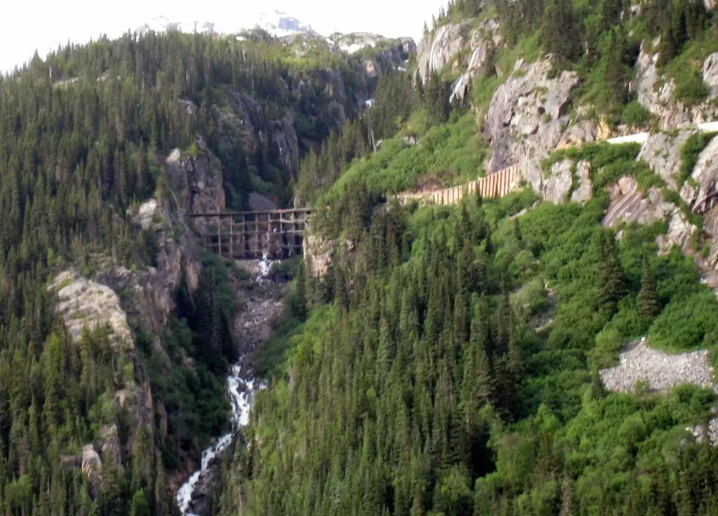 An old wooden trestle spanning a steep forested gorge with a waterfall and a rock tunnel mouth in the cliff beside it